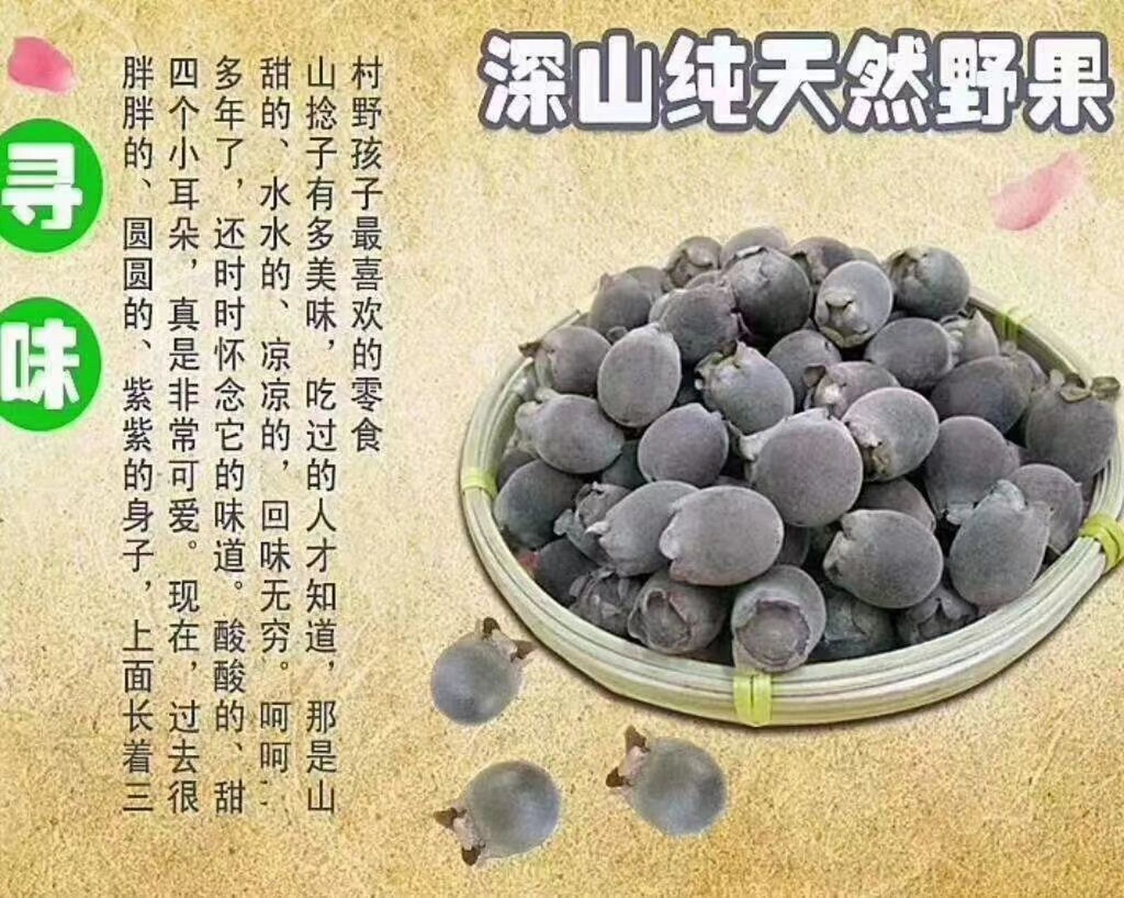 地捻子的功效与作用图片