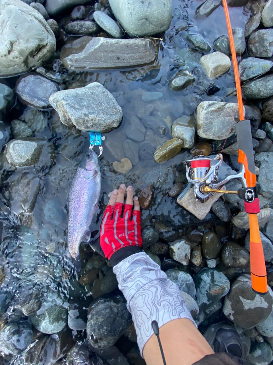 乌鲁木齐溪流野钓,解锁虹鳟 #路亚钓鱼
