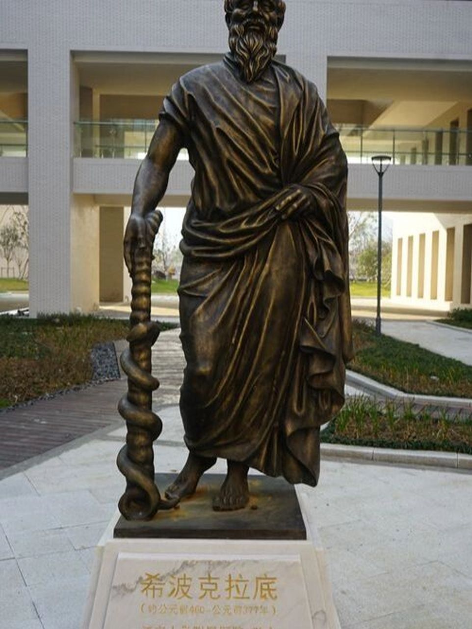 古希腊医学之父发明的汤,李开复用来抗癌 「希波克拉底汤」