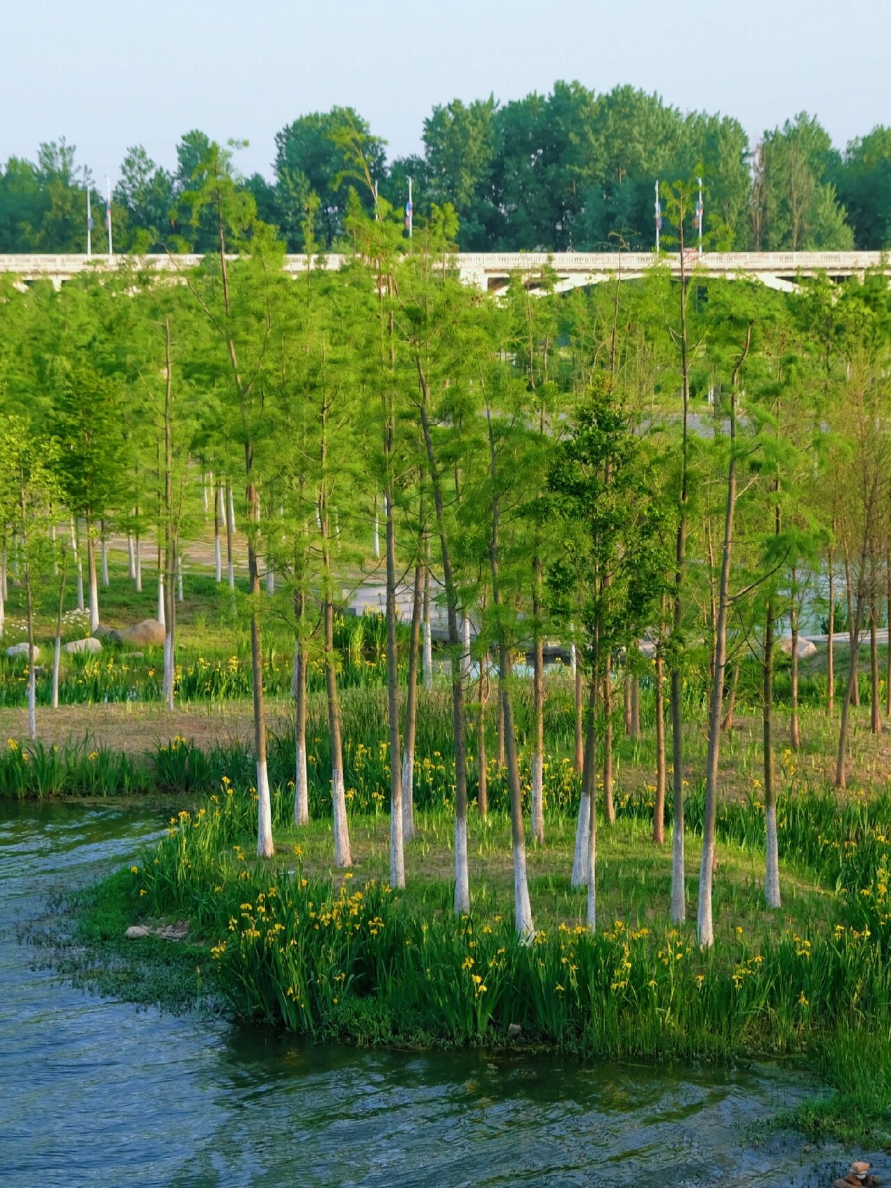 远安桃花岛公园:幸福与自然的完美结合