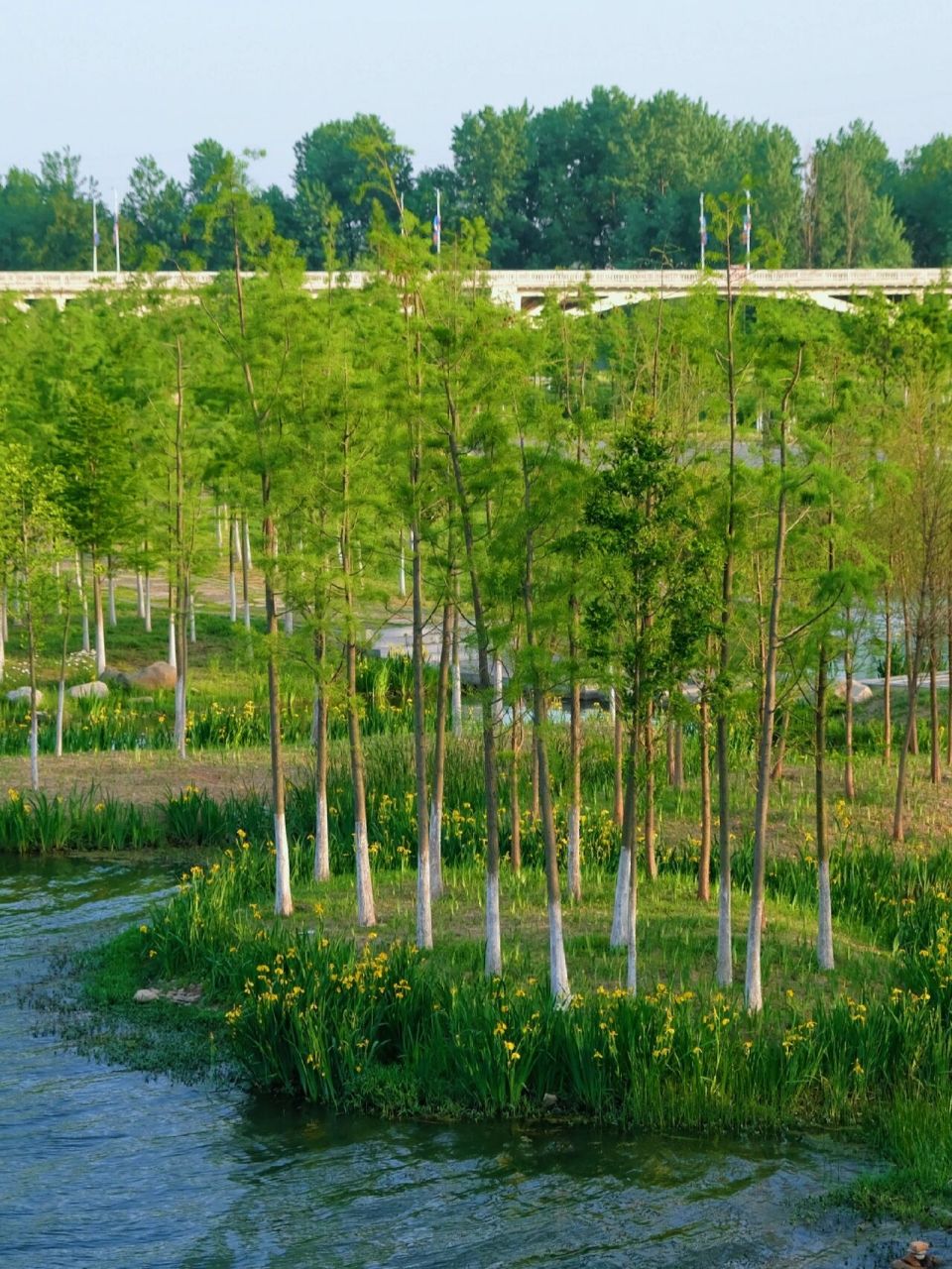 远安桃花岛公园:幸福与自然的完美结合 远安94桃花岛公园,是一个