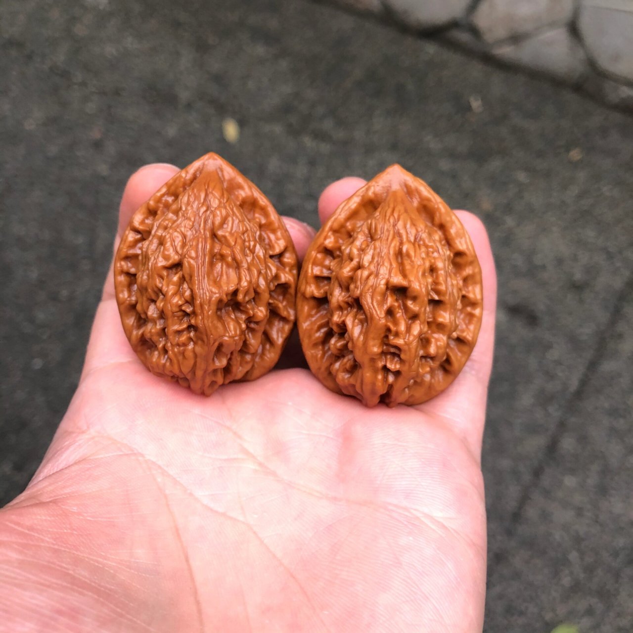 野生大红袍文玩核桃 野生小众大红袍!