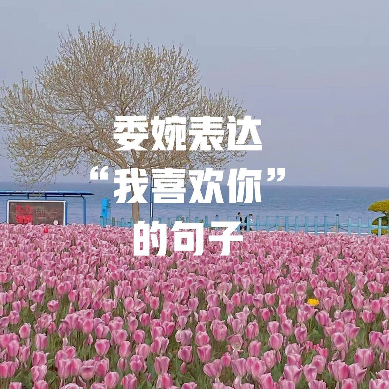 委婉表达"我喜欢你"的句子 ①你头发乱了哦 整句话是: 如果我爱你,而