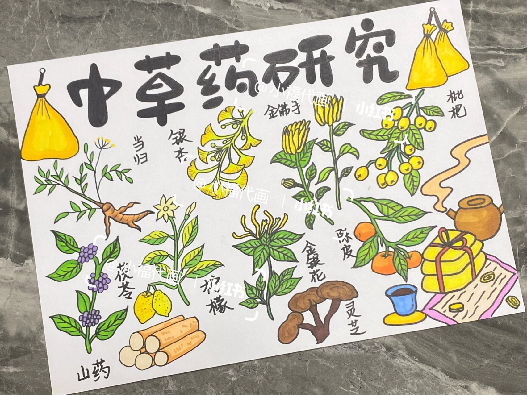 中草药研究本草纲目主题手抄报