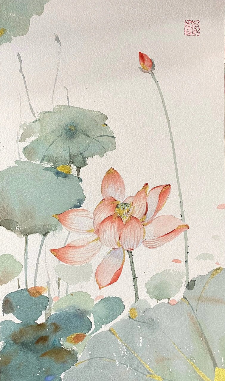 水彩荷花 这个夏天画了很多荷花