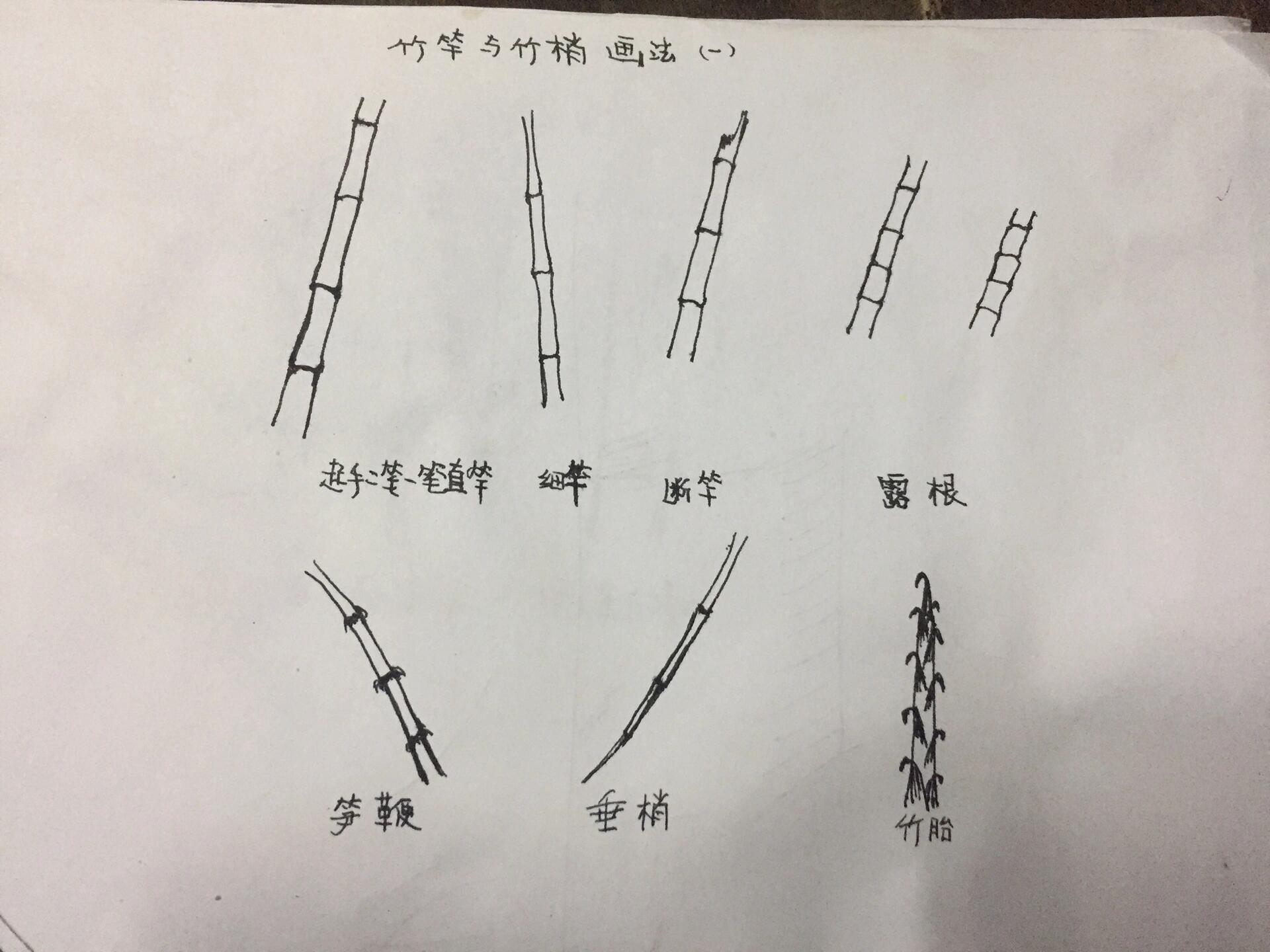 简笔画竹竿 简笔画竹杆画法打卡临摹