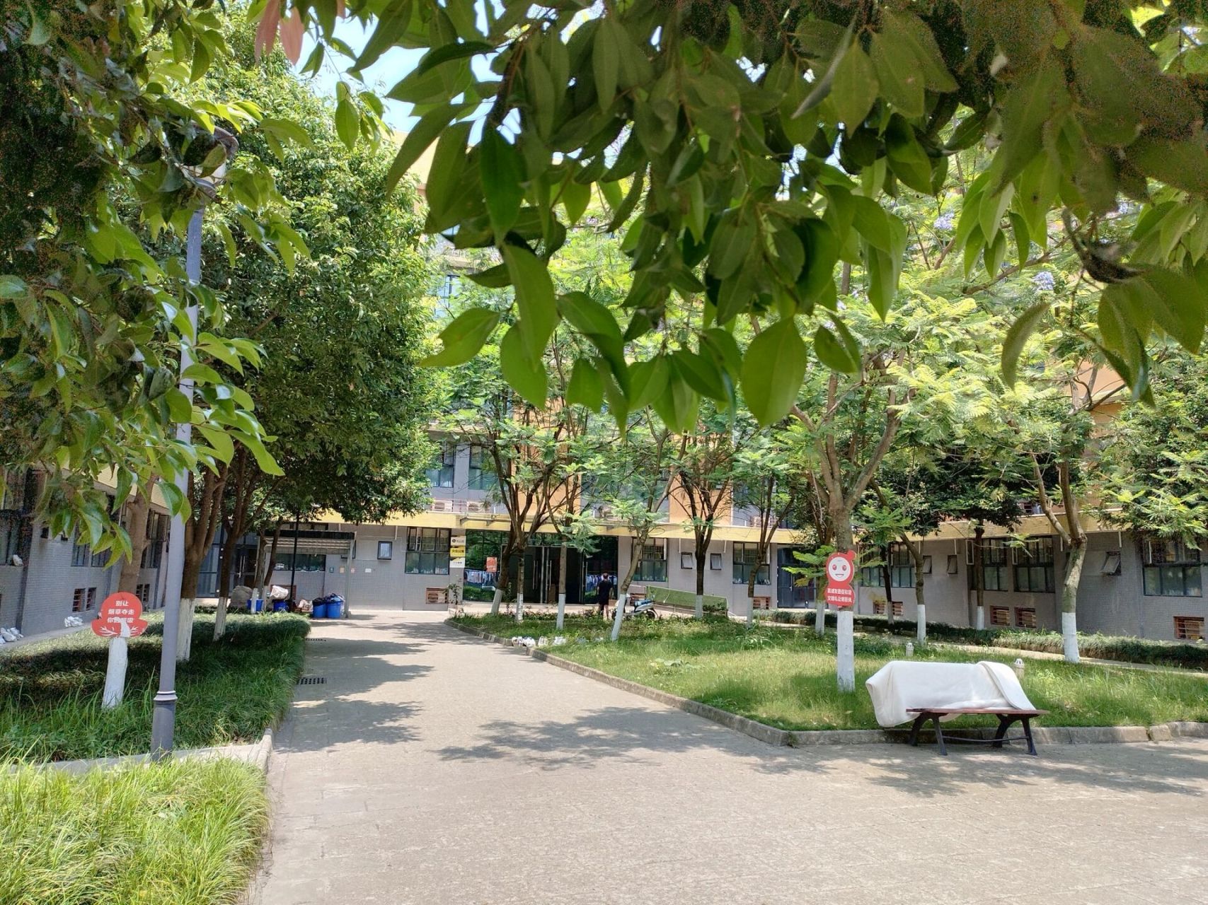 成都艺术职业大学(青神校区) 校园风景好,同学友善,生活也美好,人更