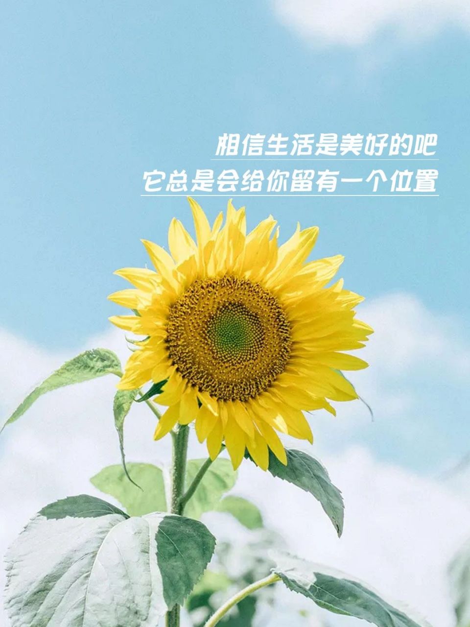 94早安美图99励志文案 99朋友圈正能 11566 957004