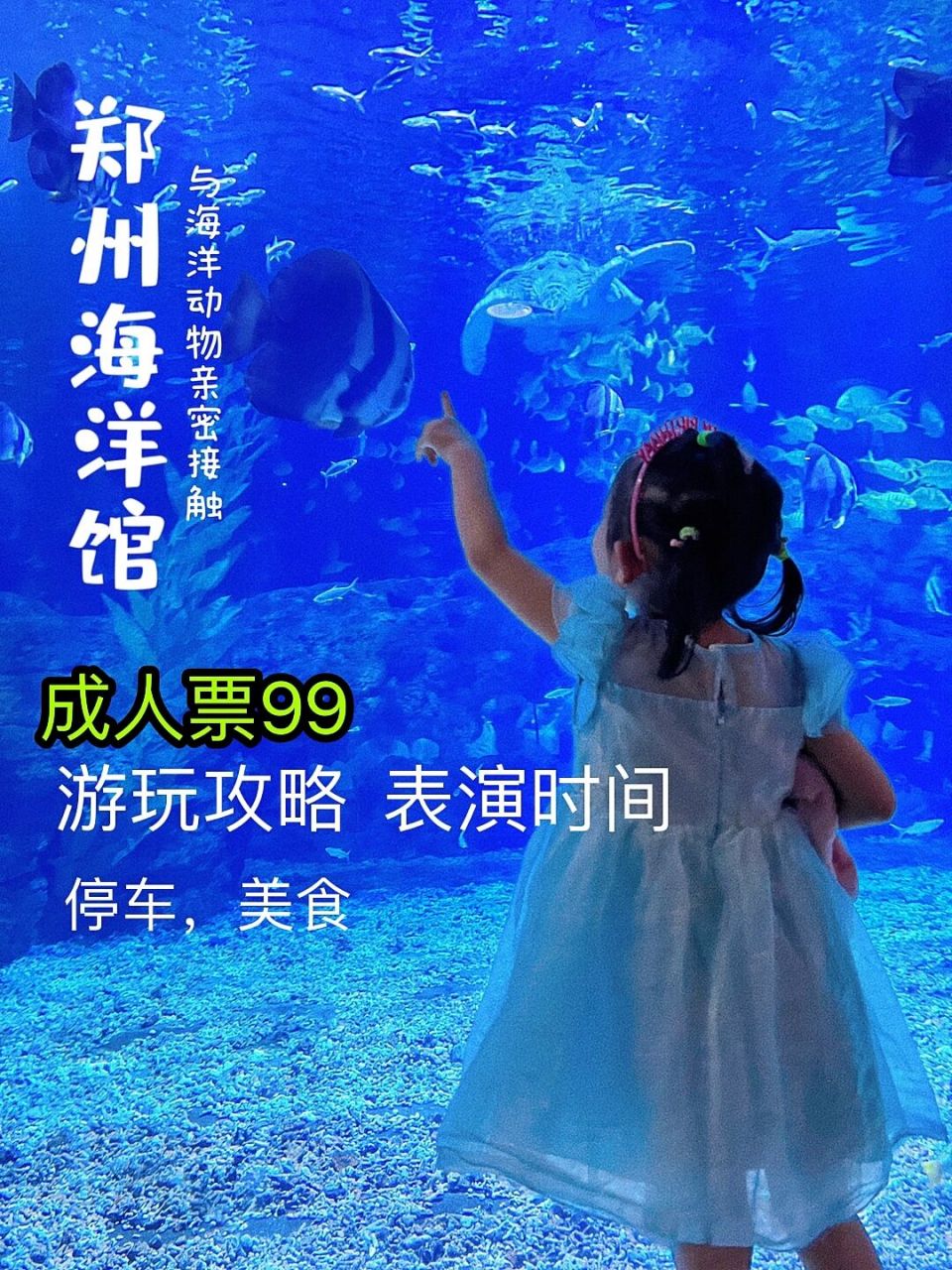 门票9990,郑州海洋馆游玩攻略 带闺女打卡郑州海洋馆,分享游玩海洋