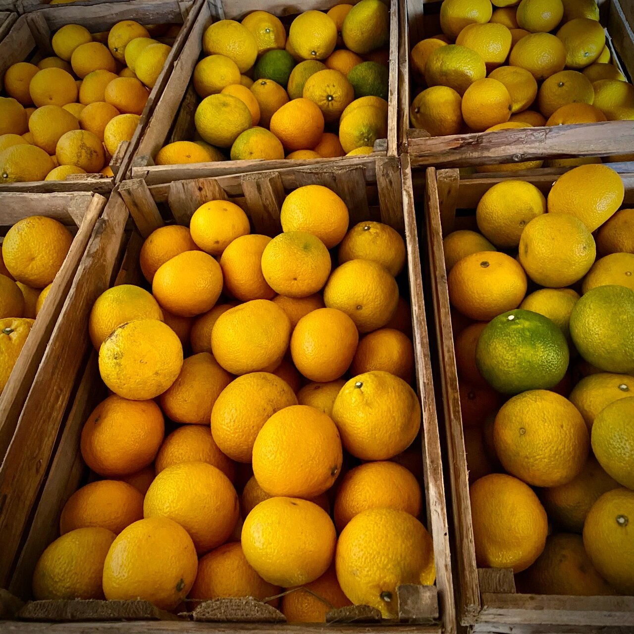 不催熟,不打蜡,不泡药水,纯天然.