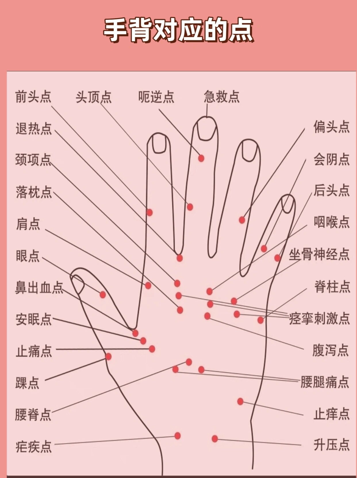 手掌大揭秘9394手部解析图