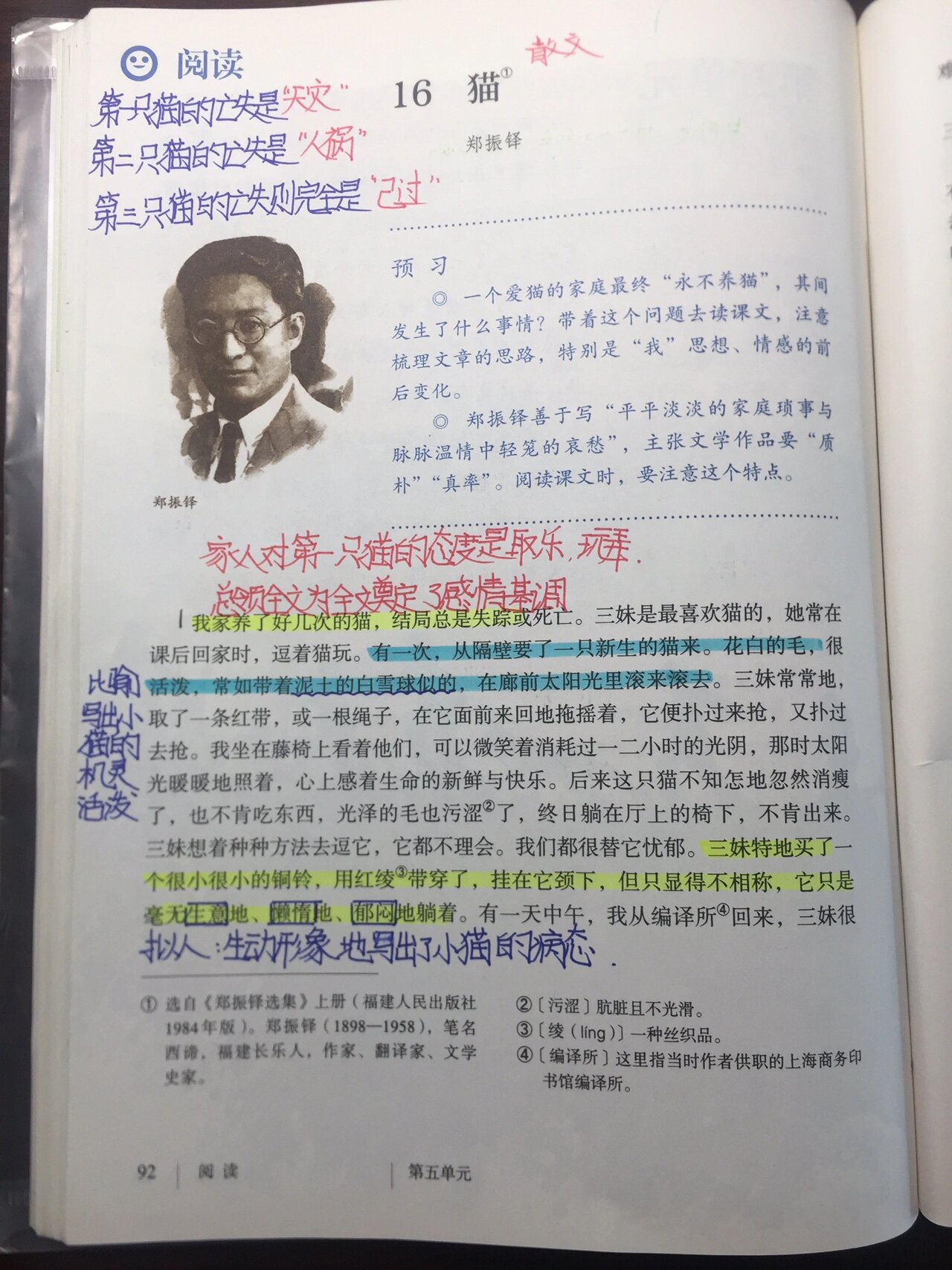 语文人教版七年级上册第16课猫