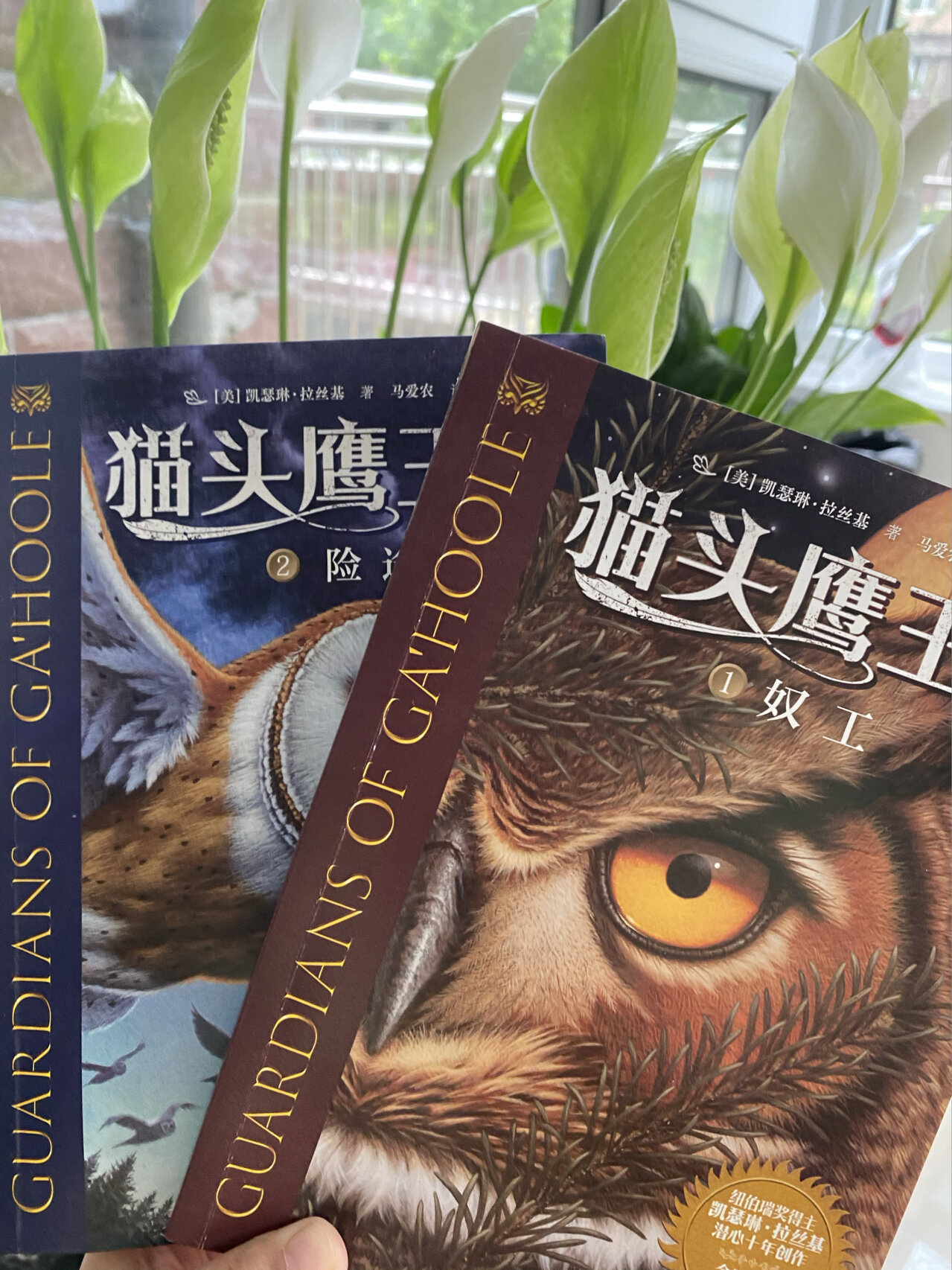 猫头鹰王国 四年级以上课外书推荐