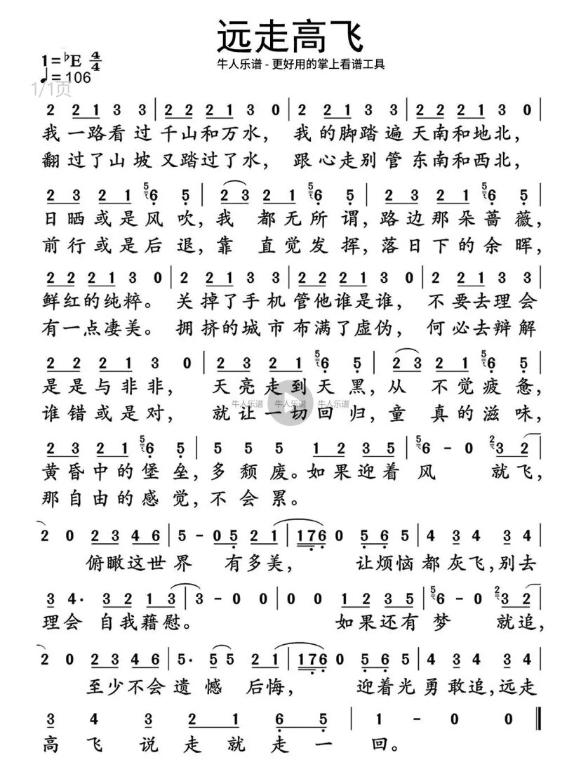 《远走高飞》金志文