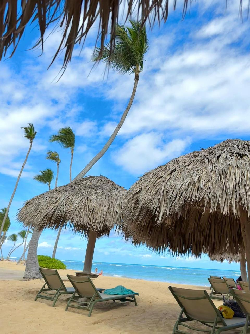 多米尼加|很美,但不会再来了😓 待了5天四晚,虽然每个人都很热情