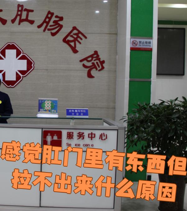 大便已到肛门无法排出(大便已到肛门无法排出用热水敷有用吗) 大便已到肛门无法排出(大便已到肛门无法排出用热水敷有用吗)