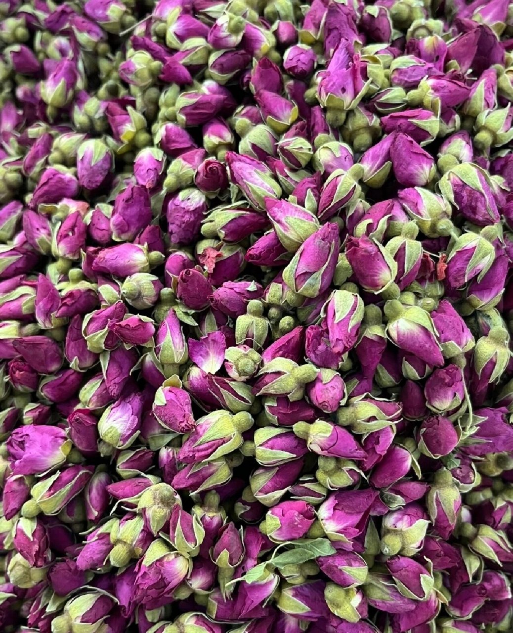 甘肃苦水玫瑰7815 98据《中国药典》记载 	 7815玫瑰花:行