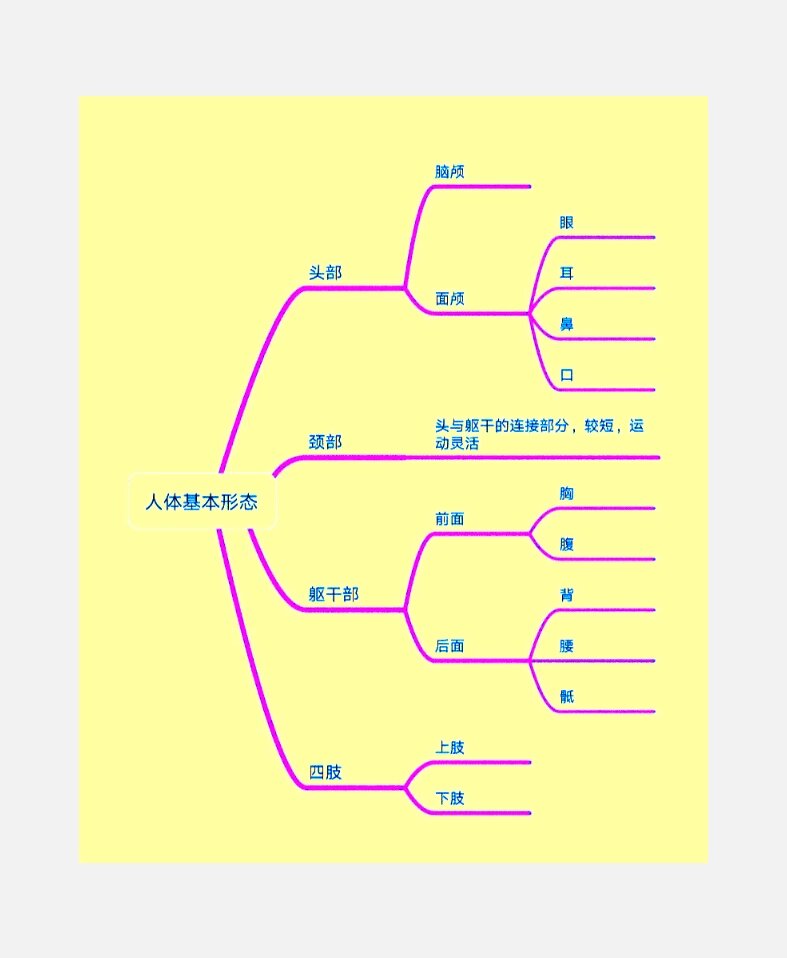 人体概述思维导图