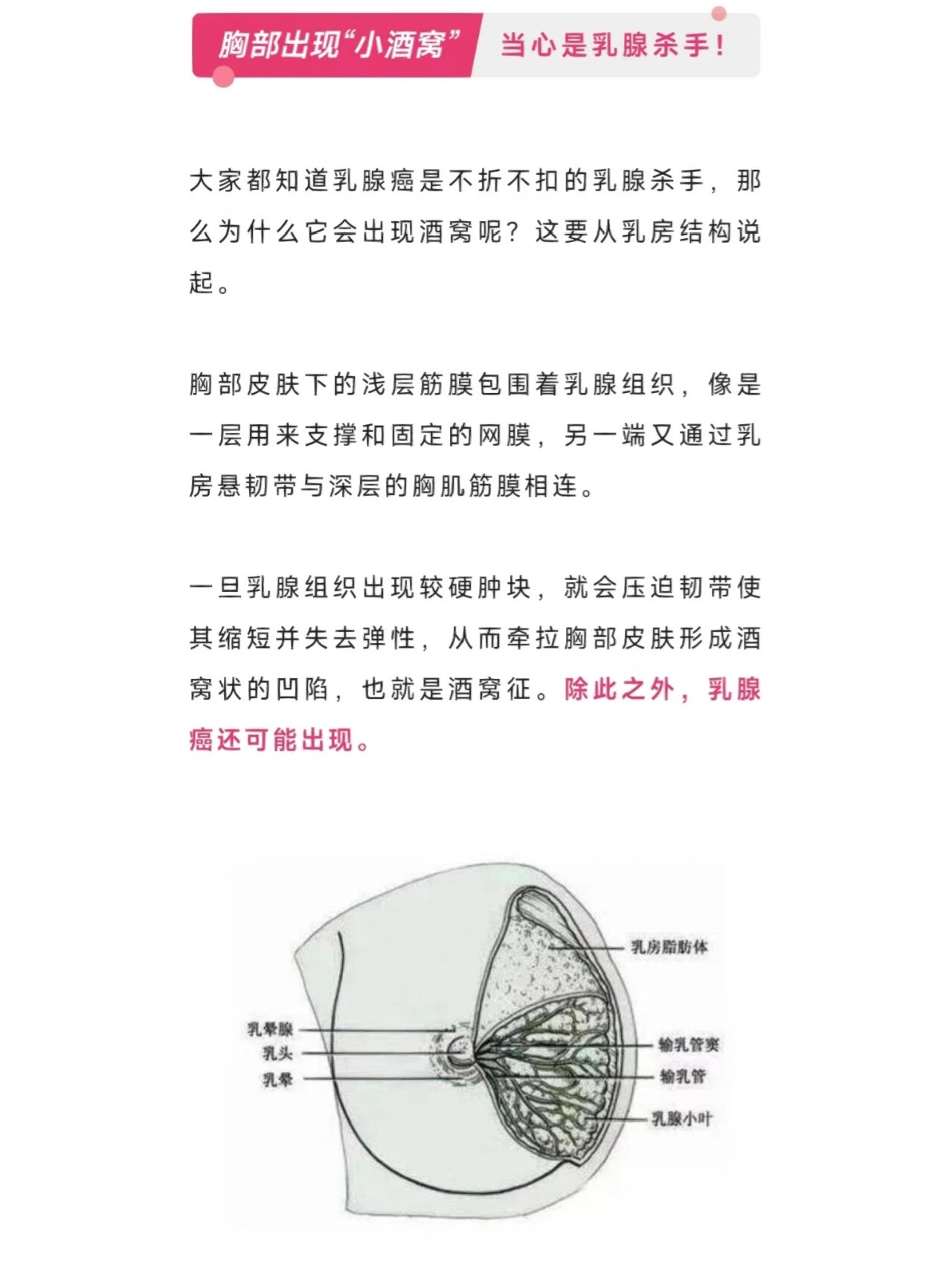 乳房酒窝是什么样子图片