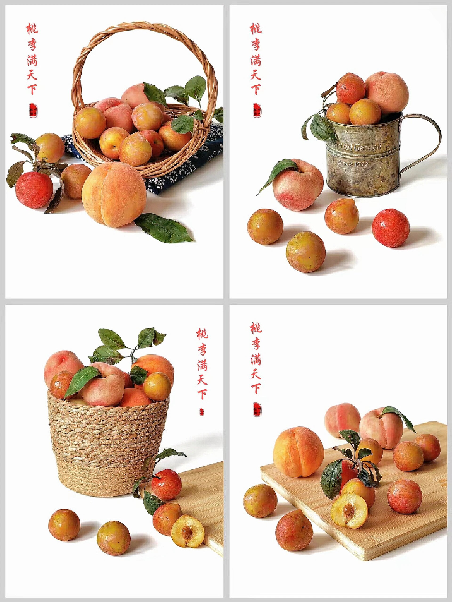 绘画素材1000更/桃李满天下