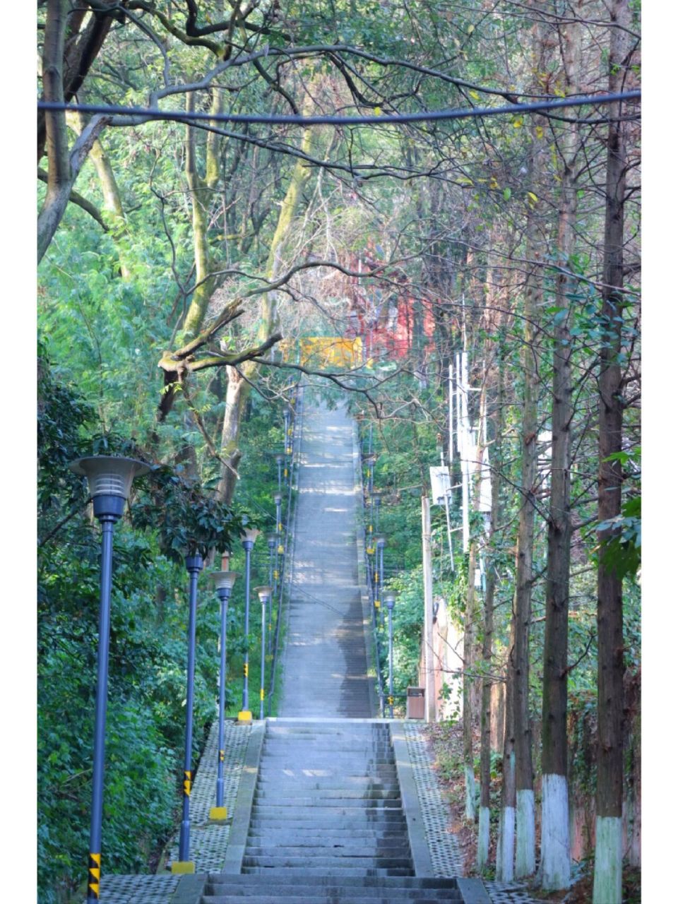 四川宜宾  翠屏山冬日