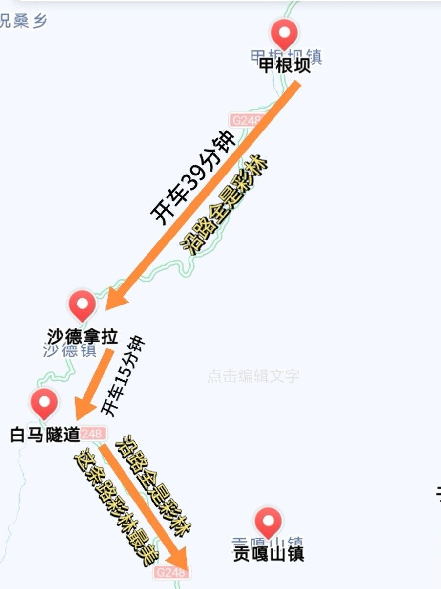 国道248线线路图图片