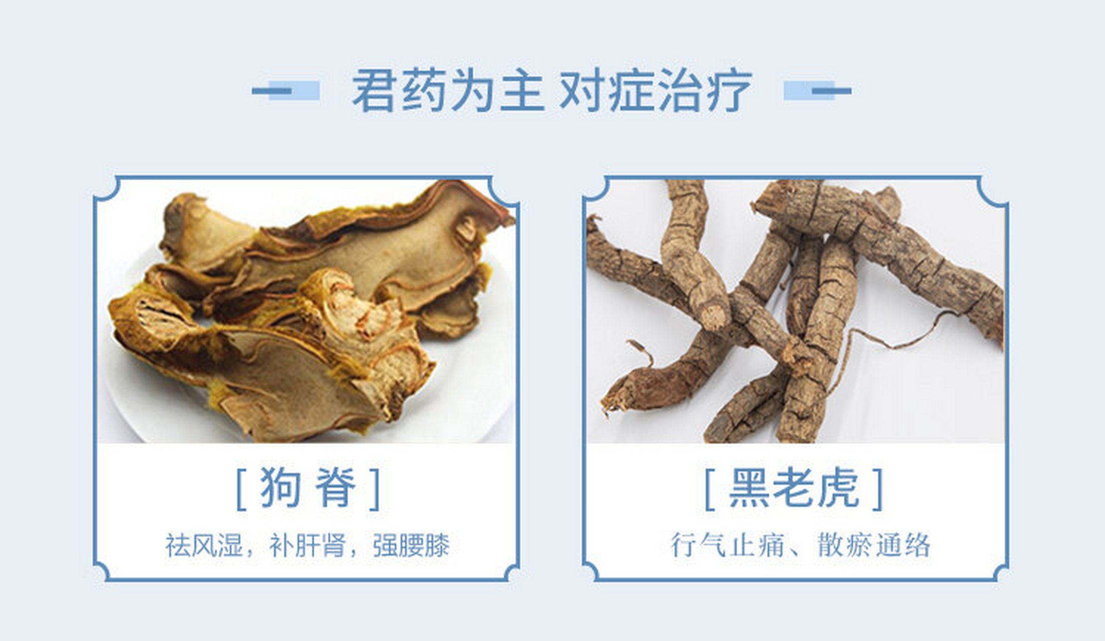 舒筋健腰丸药材解析 舒筋健腰丸在400年古方验药的基础上,13味药材
