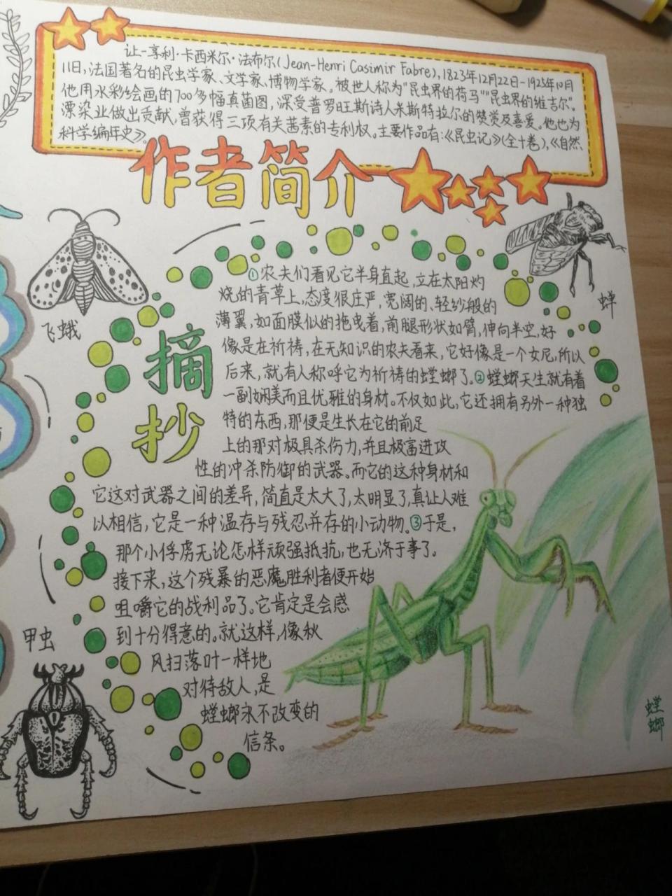 昆虫记手抄报03   第一次发 想要这份手抄报更完善一些  希望大家