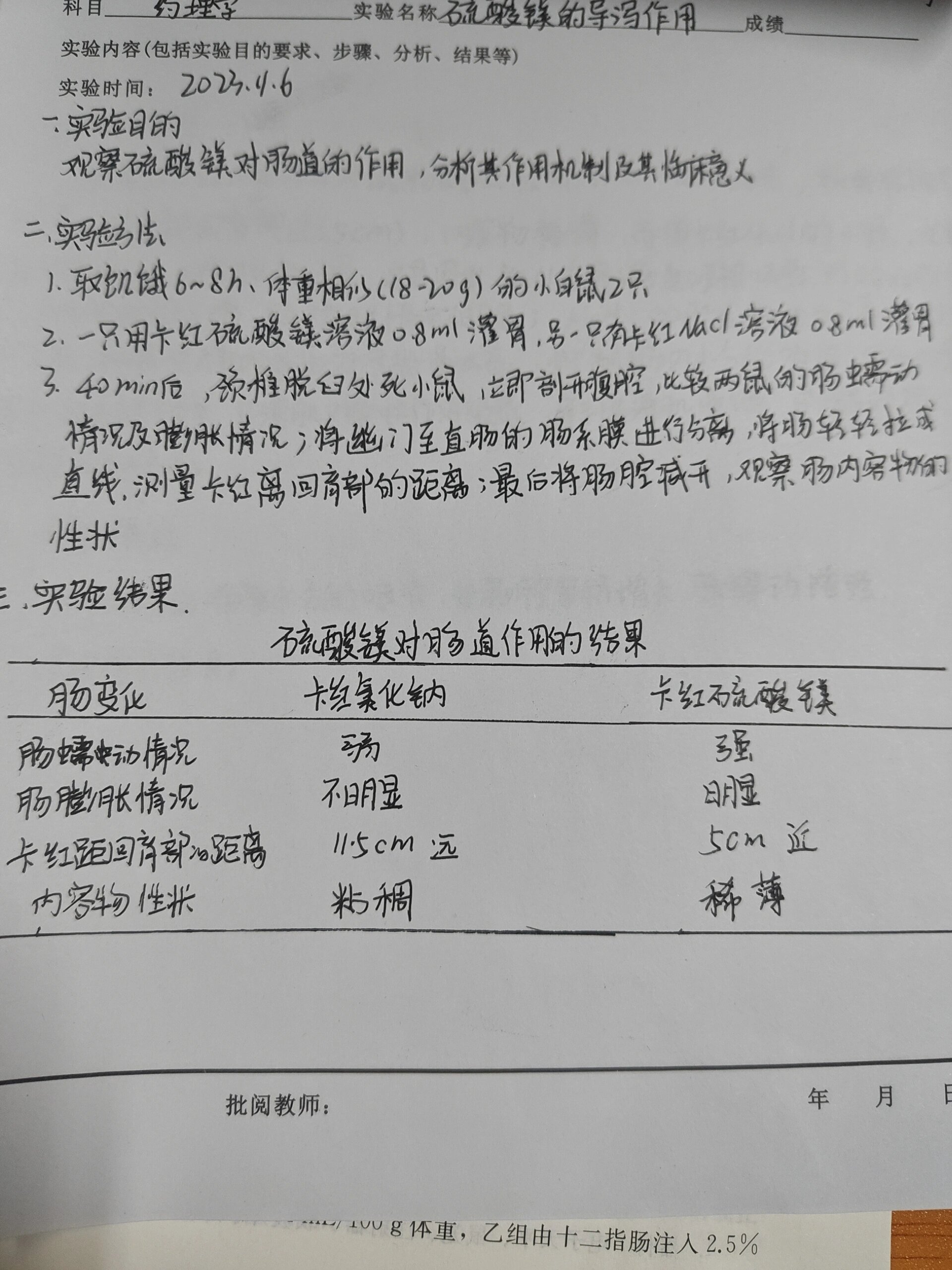 小鼠腹腔注射硫酸镁图片