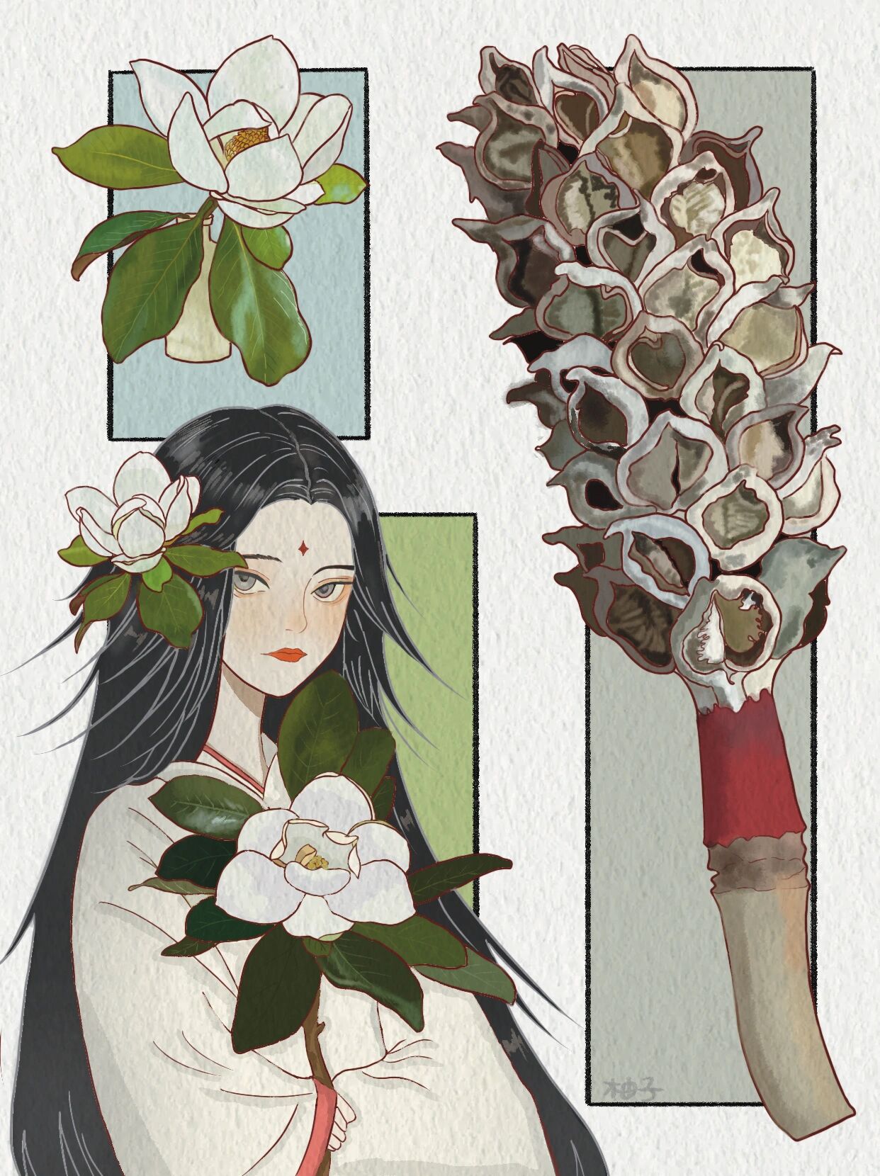 花与女孩分镜插画61广玉兰(荷花玉兰)|附线稿 61 广玉兰在街岛苘