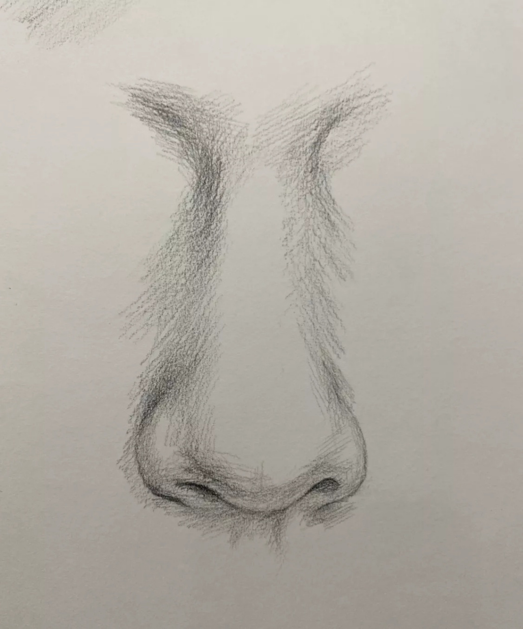 五官素描打卡‖正面鼻子‖素描91 先用一个梯形来表现鼻子的整体