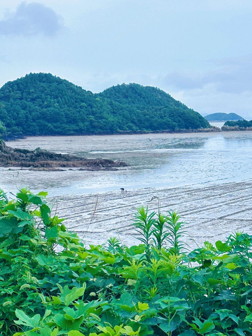 当一天的赶海人/宁波象山松兰山之行 当一天的赶海人/象山松兰山之行