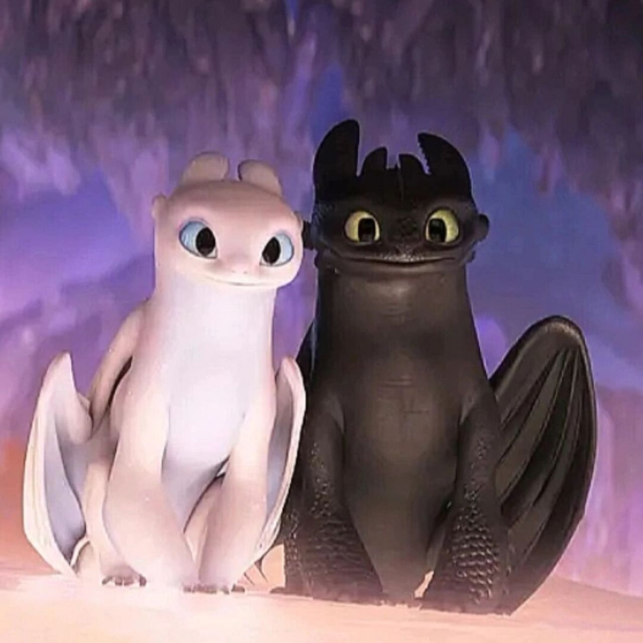 家里养了无牙仔和它女朋友是种什么体验 现实版驯龙高手 夜煞和光煞