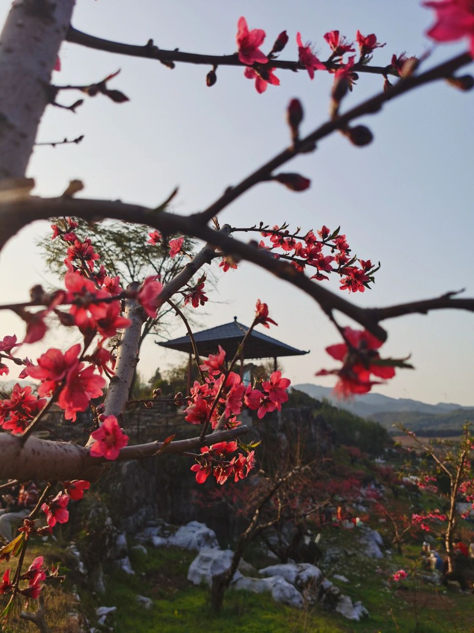 古人笔下的美景 人间四月芳菲尽,山寺桃花始盛开