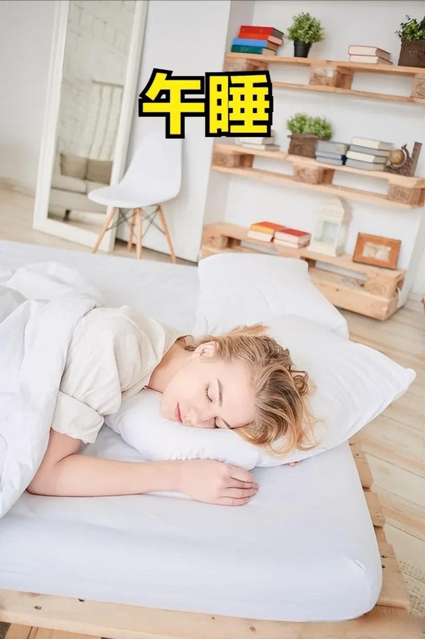 今日焦点,我们一同深究:午睡习惯与从不午睡之间,究竟哪种生活方式对
