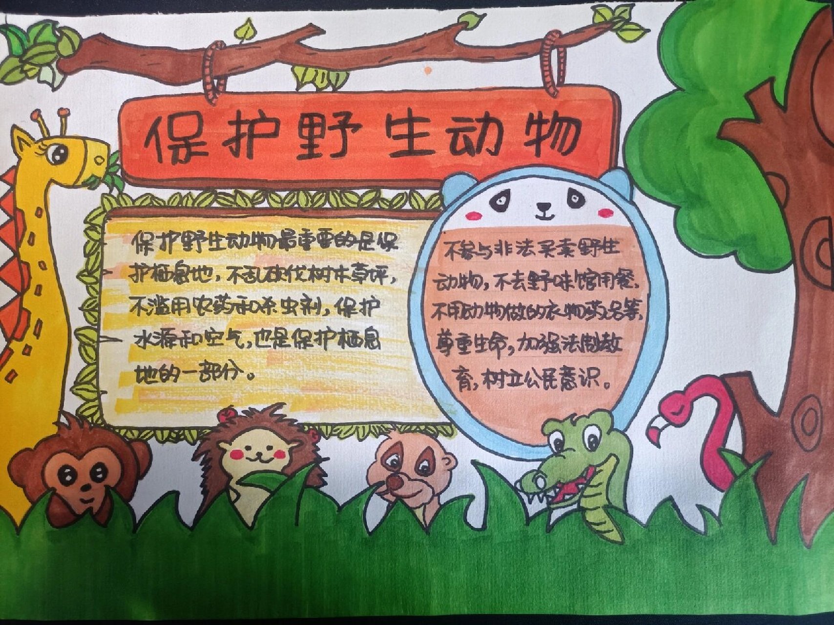 珍稀动物手抄报四年级图片