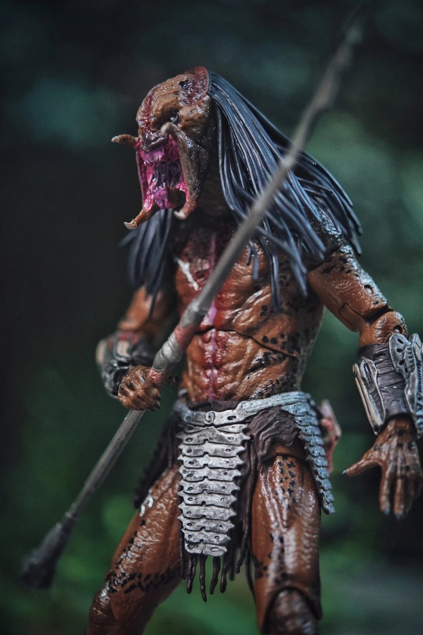 【模型摄影】neca02铁血战士 骨面 prey neca的模型是这样的:你总能