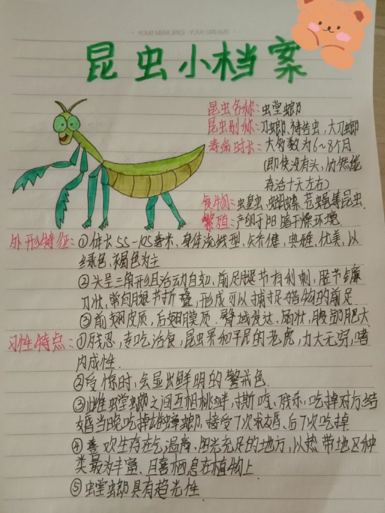 昆虫小档案~螳螂
