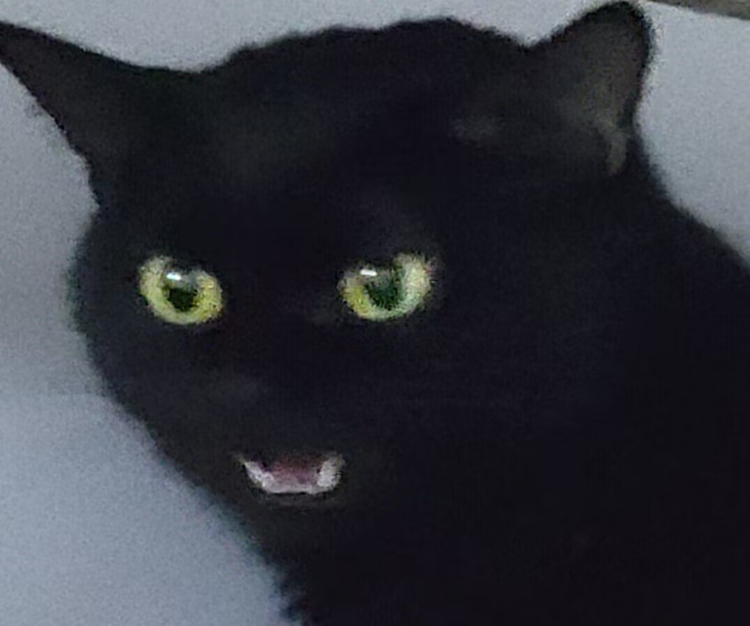 黑姐表情包(第一弹) 黑姐表情太丰富,我聊天软件的表情收藏已被黑姐