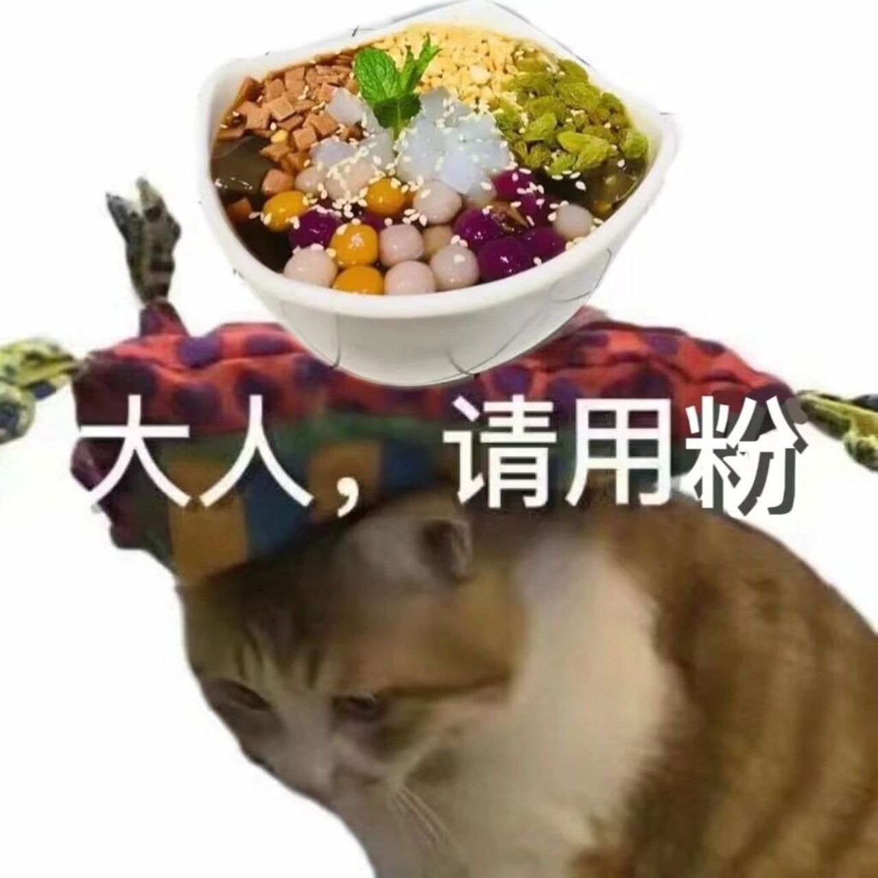 【猫猫表情包之大人请用粉】  笑死了一开始朋友发了个凉粉的问我能不