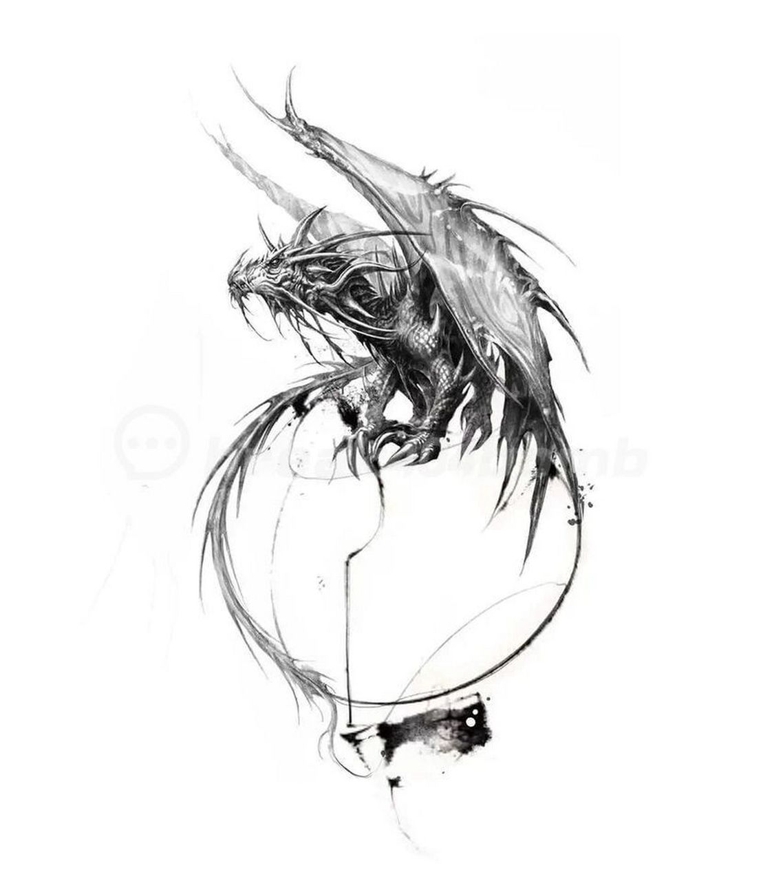 龙纹身单针纹身|超细致龙纹身手稿 西方龙,英文名dr