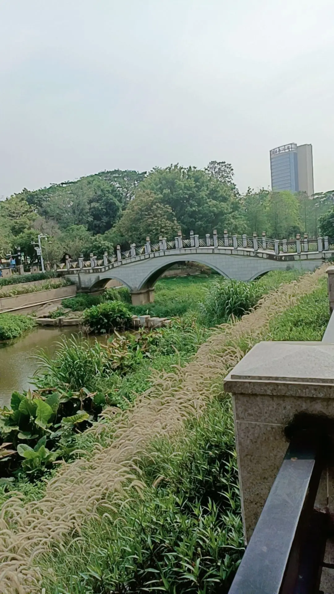 简简单单的一餐人生短短几十年怎么开心怎么过,对