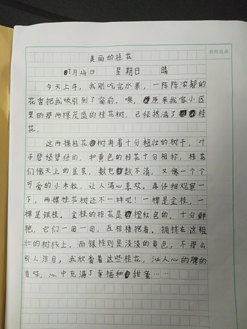 观察花的日记350字(观察花的日记350字怎么写)