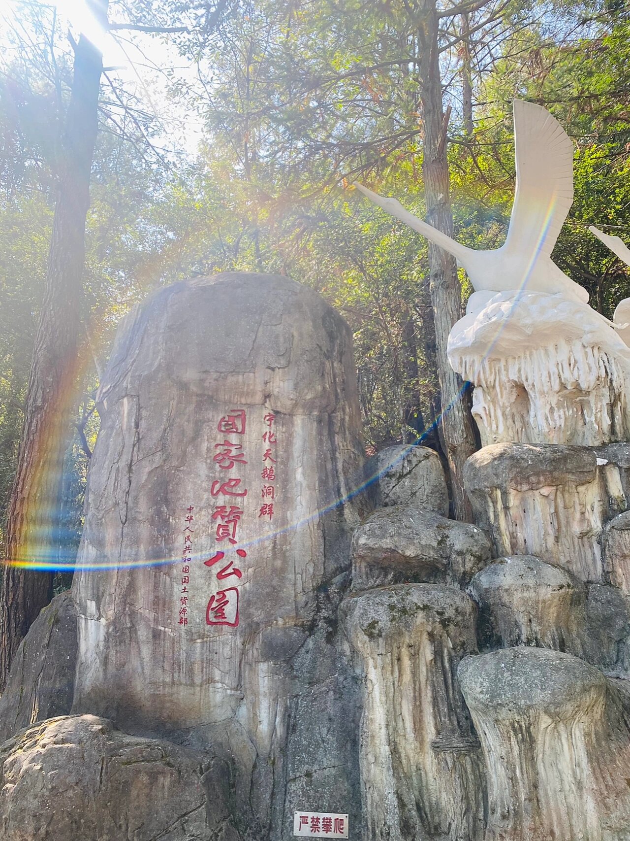 宁化天鹅洞风景区门票图片