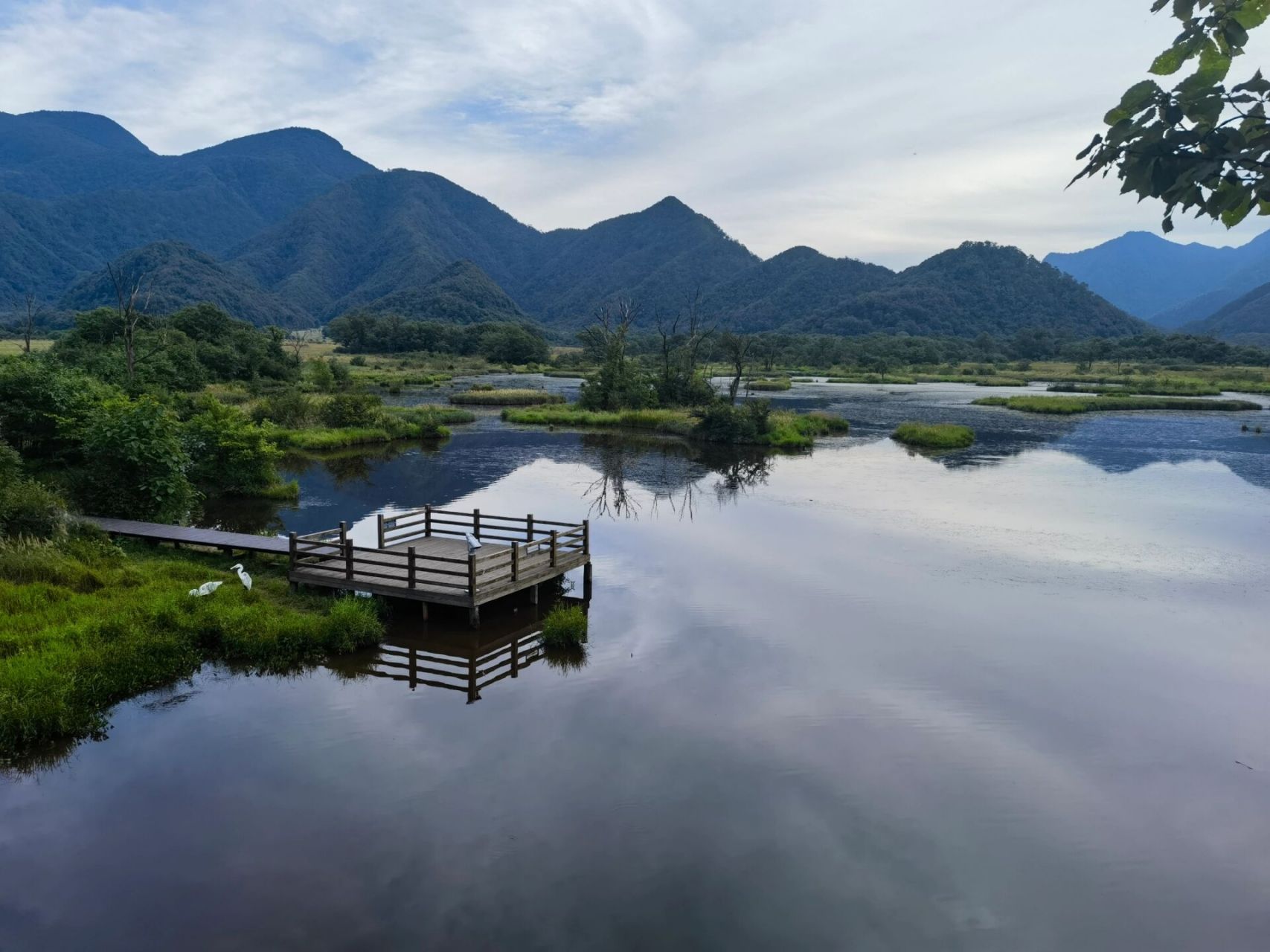 大九湖镇图片