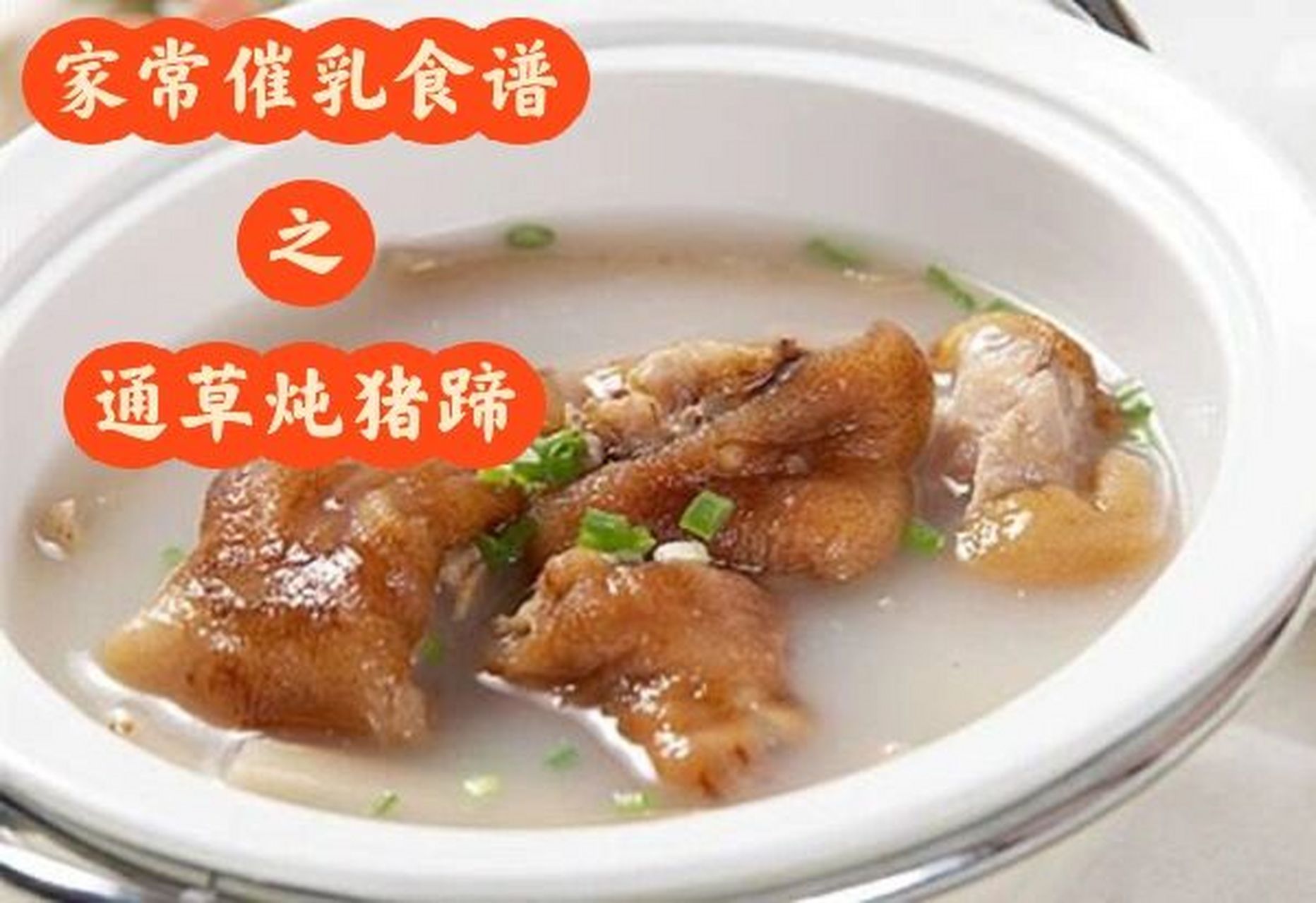 家常催乳食谱之通草炖猪蹄 哺乳期追奶 月子餐 宝妈每日食谱 9315