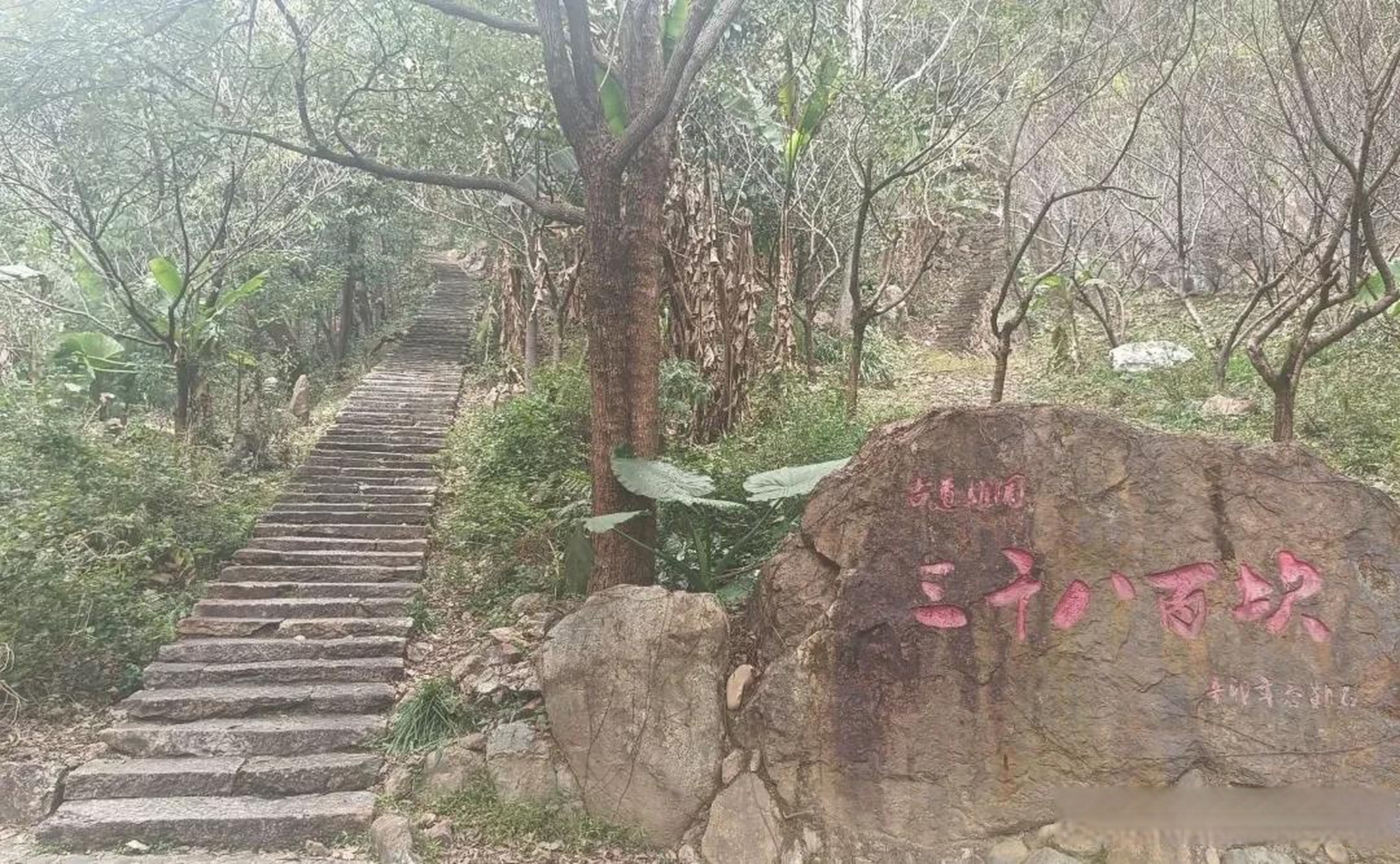 茫荡山三千八百坎景区,南平市的一颗璀璨明珠,已然成为一处备受瞩目的