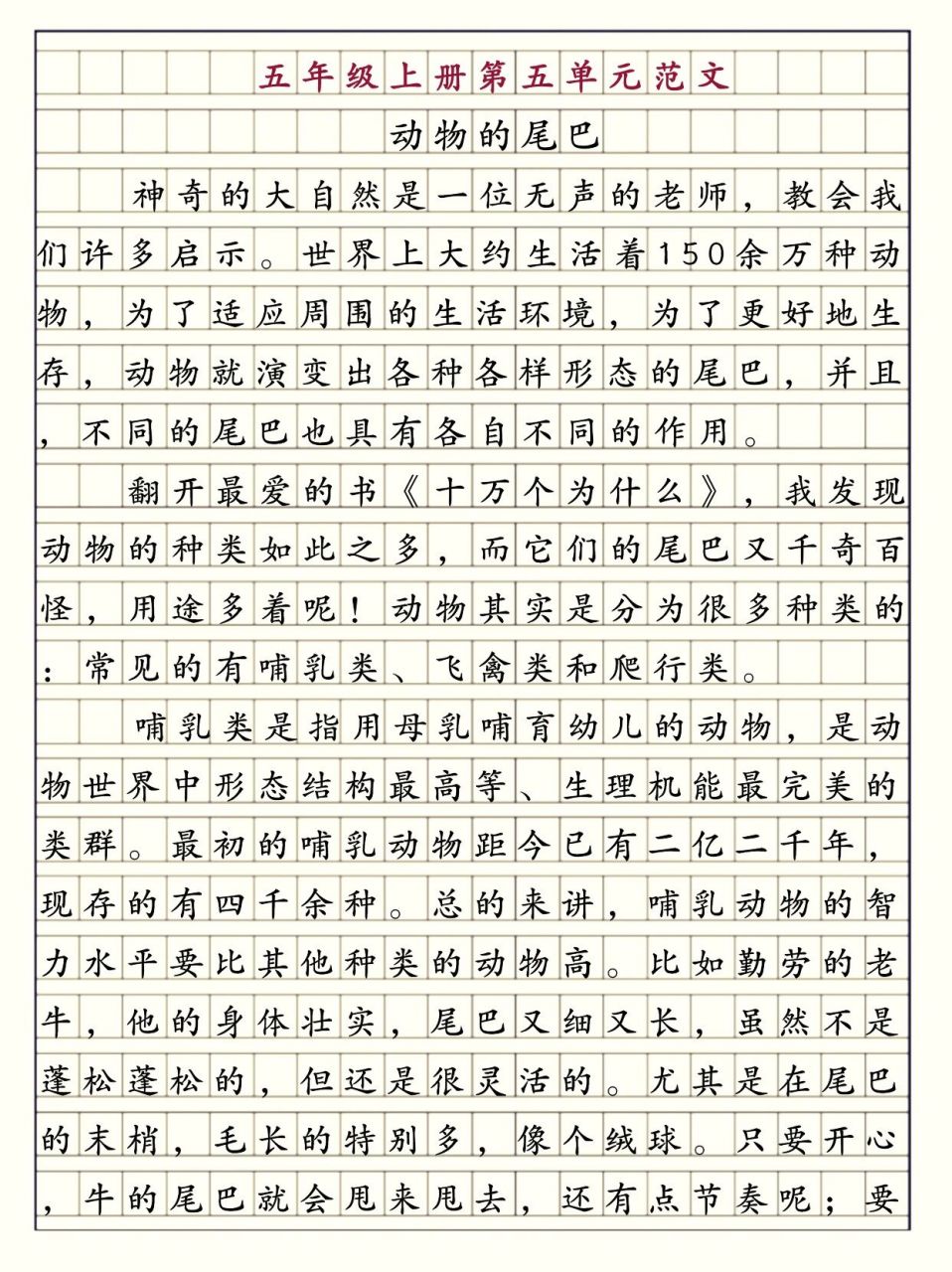 动物的尾巴作文500字图片