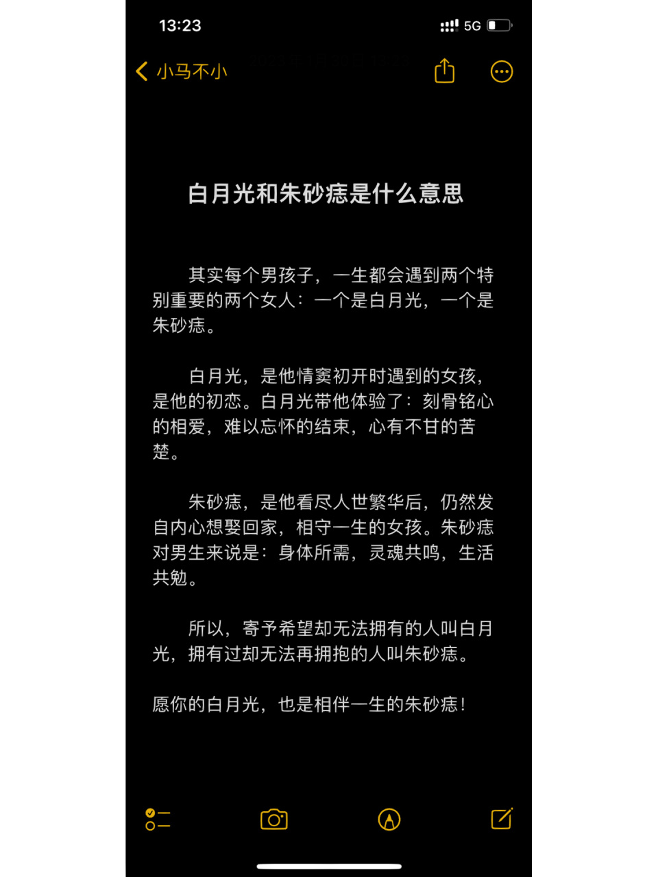 白月光和朱砂痣是什么意思