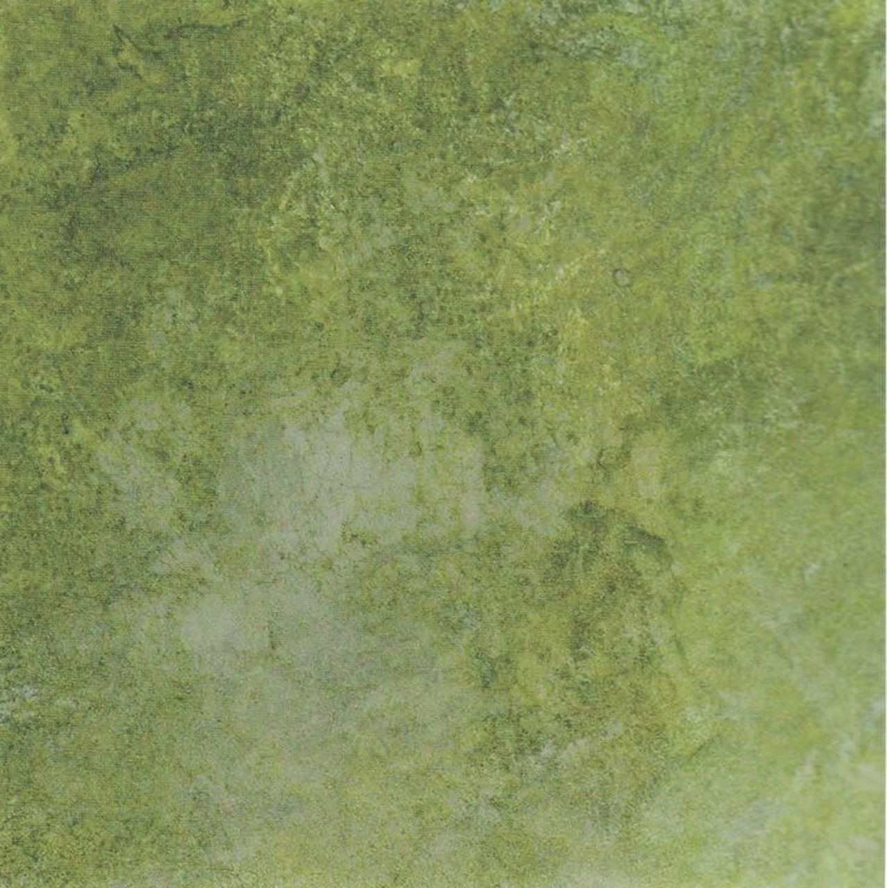 景观设计丨草地纹理素材贴图丨ps彩平总图